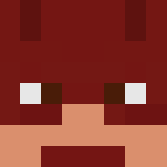 The Flash CW - Comics Minecraft Skins - image 3
