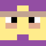 Ultimate Shulkers - Comics Minecraft Skins - image 3