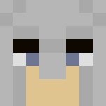 Imladris Lancer - Male Minecraft Skins - image 3