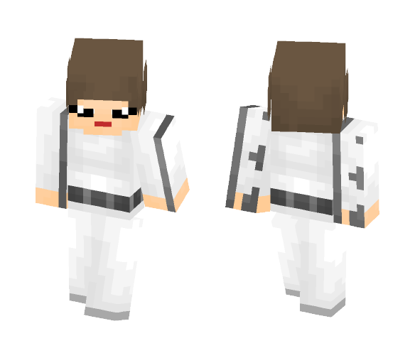 Princess Leia - Female Minecraft Skins - image 1