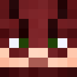 The Flash CW - Barry Allen - Comics Minecraft Skins - image 3
