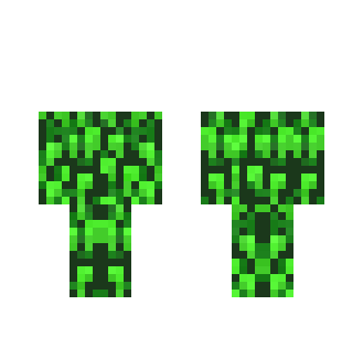 camoflage - Male Minecraft Skins - image 2