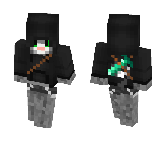 Assasin's Cat! - Interchangeable Minecraft Skins - image 1