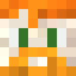 Red Head Bearded Dude - Male Minecraft Skins - image 3