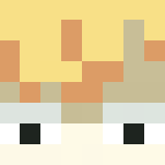 Toon Link - Male Minecraft Skins - image 3