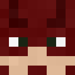 The flash | cw future | barry allen - Comics Minecraft Skins - image 3