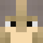 Warhammer Fantasy: The White Lion - Interchangeable Minecraft Skins - image 3