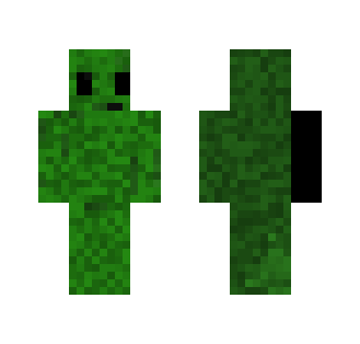 Bush with an face