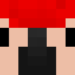 red-yellow-blue Parrot - Other Minecraft Skins - image 3