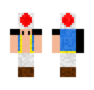 Toad From Mario Bros