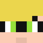 Cat Noir (Miraculous) - Cat Minecraft Skins - image 3