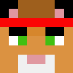 Karate Cat - Cat Minecraft Skins - image 3