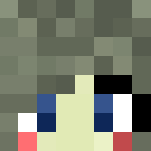 Christmas girl grey hair. [UPDATED] - Christmas Minecraft Skins - image 3