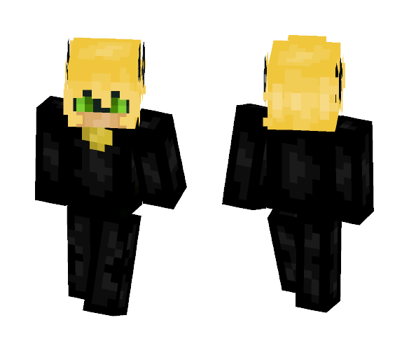 Cat Noir - Cat Minecraft Skins - image 1