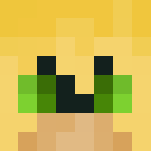 Cat Noir - Cat Minecraft Skins - image 3