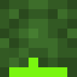 ◆ Mʏ Pᴇʀɪsᴏɴᴀ ◆ - Female Minecraft Skins - image 3