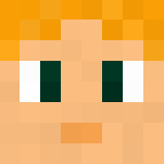 Zelda- Breath of the Wild - Interchangeable Minecraft Skins - image 3