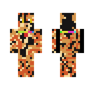 Ailith - Tortiseshell Cat