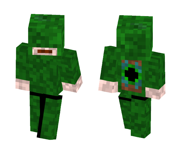 Folian Elder - The Seer - Male Minecraft Skins - image 1