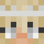 crown girl /Mirsku_ - Girl Minecraft Skins - image 3