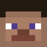 Plastic Steve - Interchangeable Minecraft Skins - image 3
