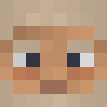 Older Roman man (ill) - Male Minecraft Skins - image 3