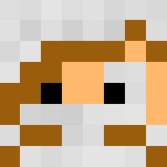 Assassin ish - Interchangeable Minecraft Skins - image 3