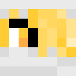 Vivi disguise as Sheik - Male Minecraft Skins - image 3