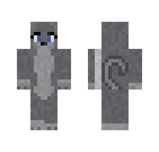 Grey Cat