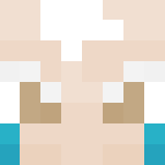 Pokemon HGSS - Pryce - Male Minecraft Skins - image 3
