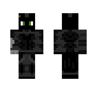 The Black Bird