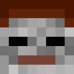 Ice monk - Interchangeable Minecraft Skins - image 3