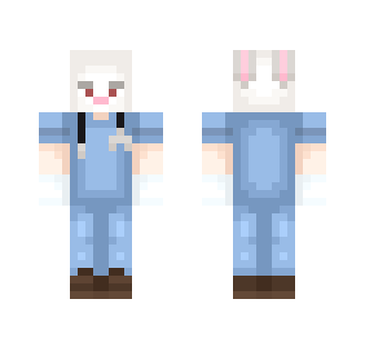Dr.Rabbit