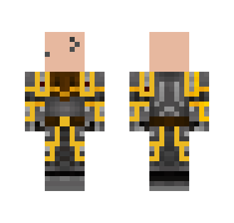 Steel Mountian Royal Guard - Male Minecraft Skins - image 2