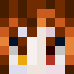 Circus Joker - Interchangeable Minecraft Skins - image 3