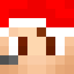 Christms TheBanditBK - Male Minecraft Skins - image 3
