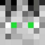 Download Free Follower of Decay (female warlord) Skin for Minecraft image 3 Follower of Decay (female warlord) - Female Minecraft Skins - image 3