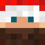 Christmas Skin - Christmas Minecraft Skins - image 3