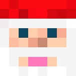 Santa - Male Minecraft Skins - image 3