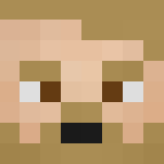 Conor McGregor UFC 205 - Male Minecraft Skins - image 3