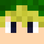 Link (Hyrule Warriors) - Male Minecraft Skins - image 3