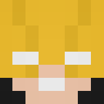 The Ray (Raymond) (Dc) - Comics Minecraft Skins - image 3