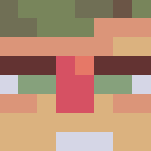 coolest chatmod frankenskin - Interchangeable Minecraft Skins - image 3