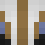 Destiny Warlock (The Dawning) - Interchangeable Minecraft Skins - image 3