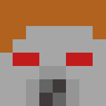 MagnaGuard -Star wars - Interchangeable Minecraft Skins - image 3