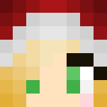 Christmas girl - Christmas Minecraft Skins - image 3