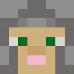 Skyrim Imperial Heavy Armor - Interchangeable Minecraft Skins - image 3