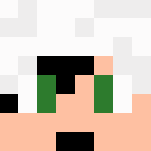 Assassin's Creed assassin - Male Minecraft Skins - image 3