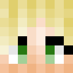 Personal Skin - Other Minecraft Skins - image 3