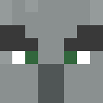 Illager Evoker (Alex Template) - Other Minecraft Skins - image 3